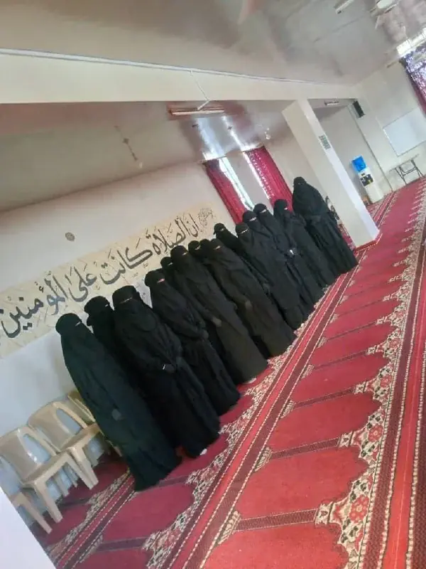 عکس ۲