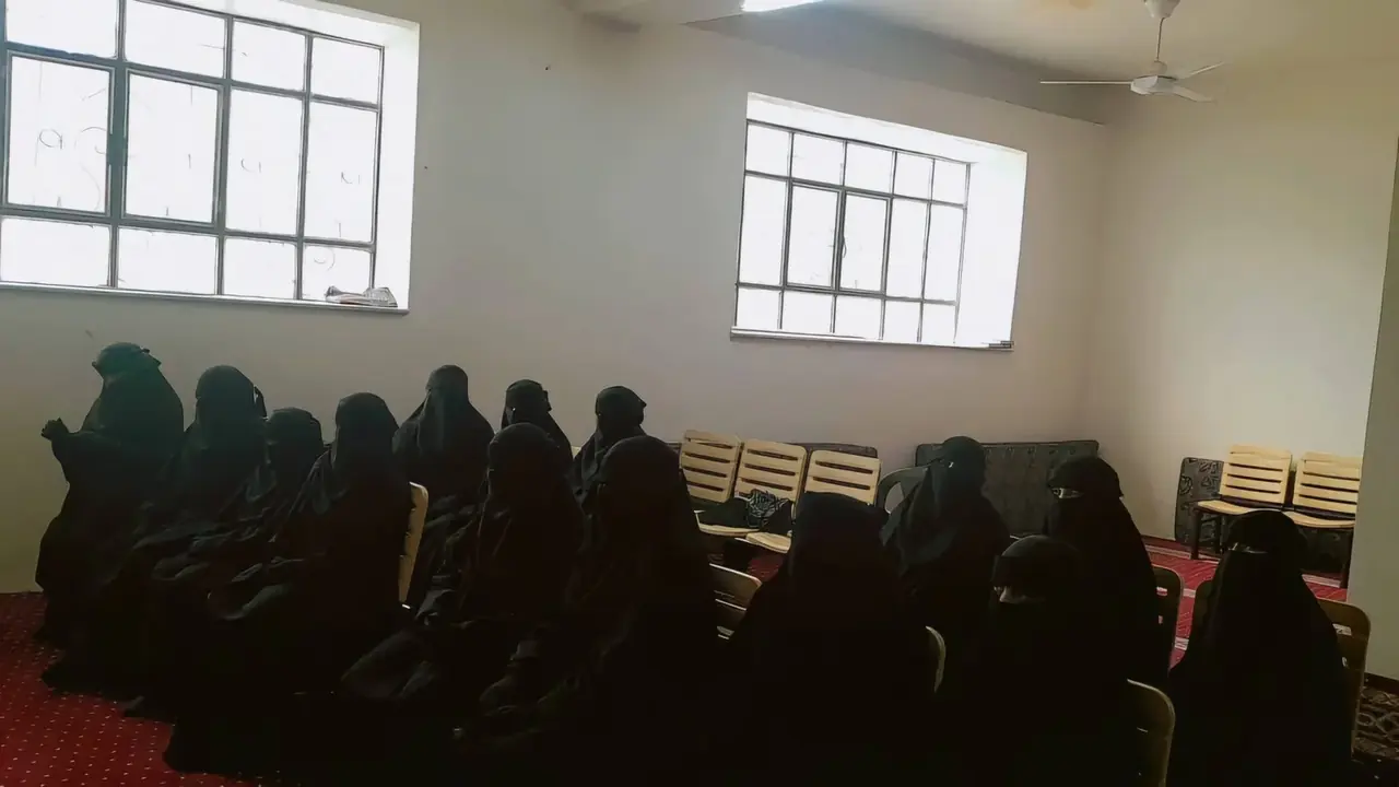 عکس ۳