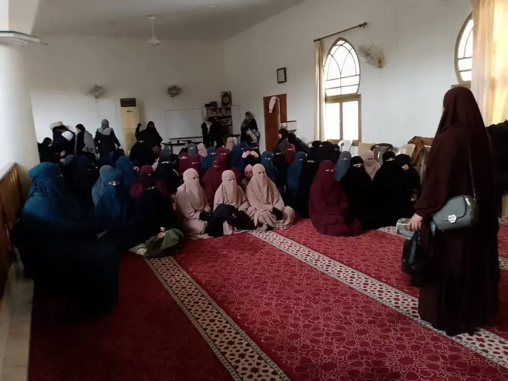 عکس ۲