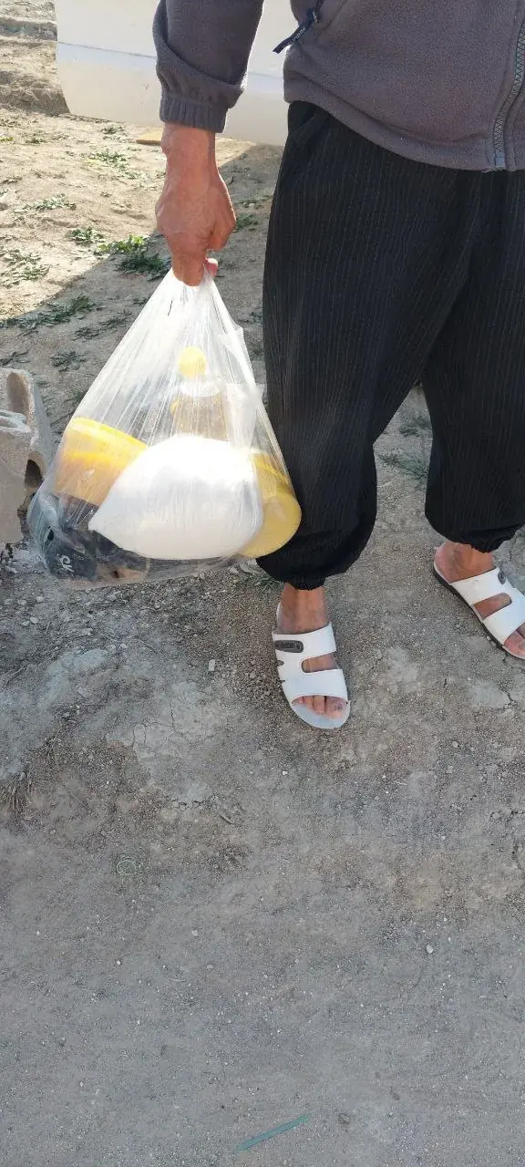 عکس ۱۶