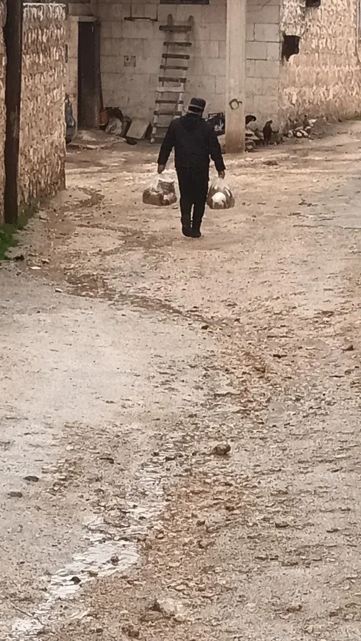 عکس ۲۰