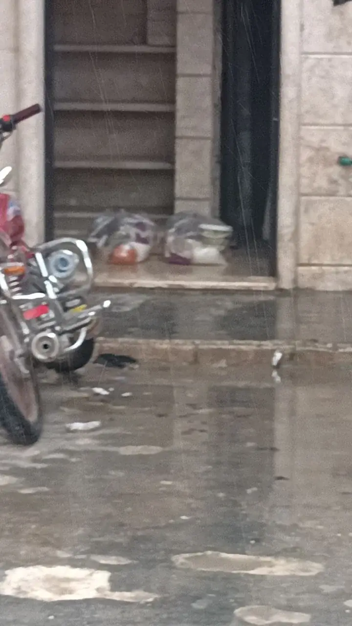عکس ۲۲