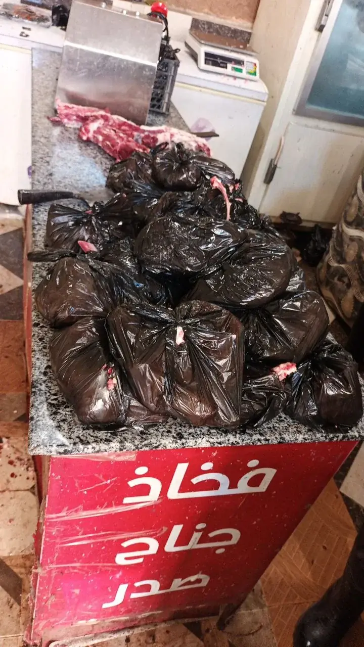 عکس ۱۲