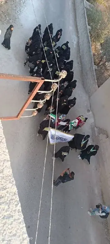عکس ۲