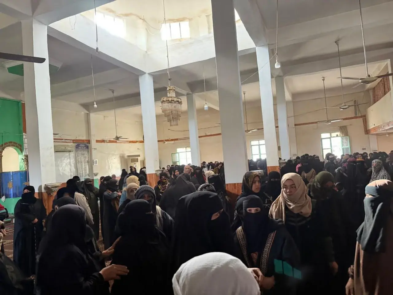 عکس ۱۲