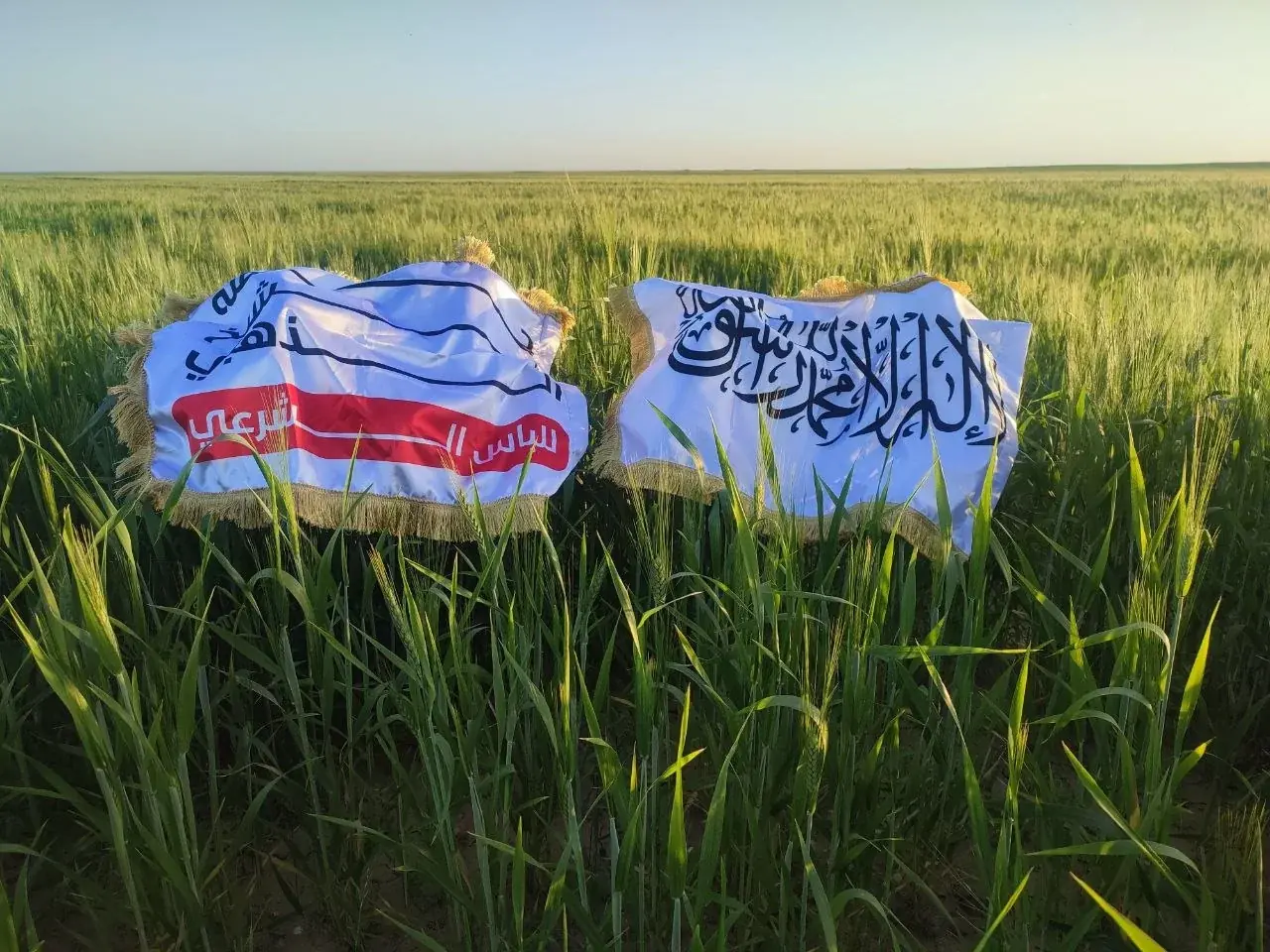 عکس ۴