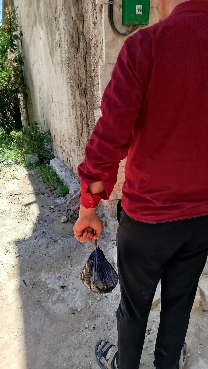 عکس ۸