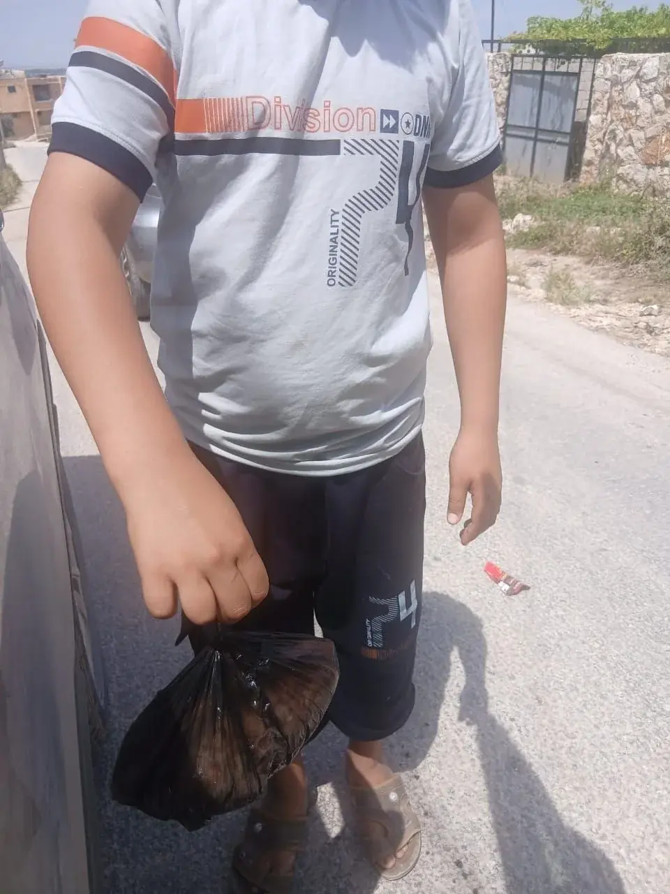 عکس ۱۱