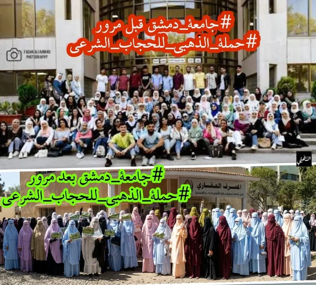صورة 2
