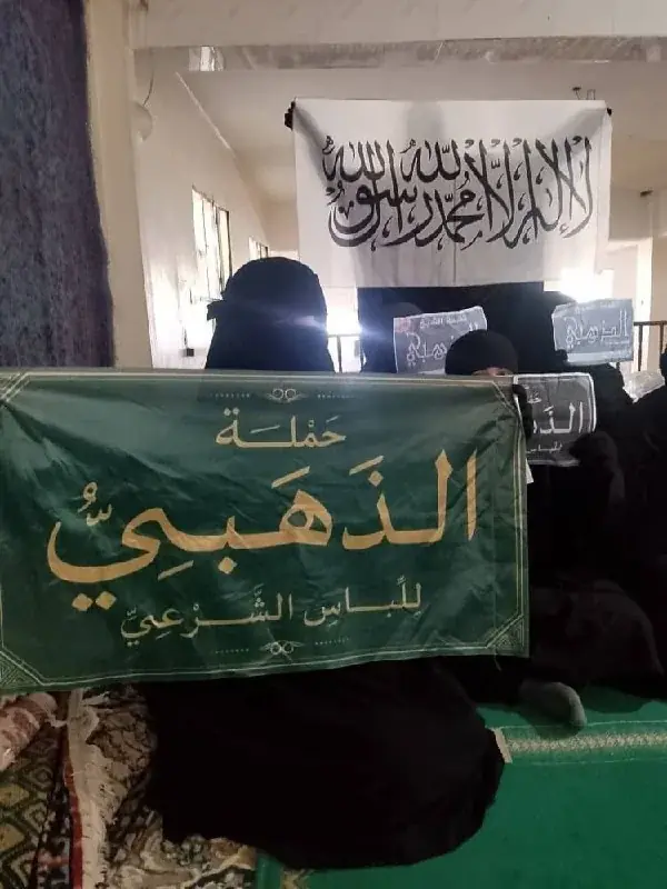 عکس ۷