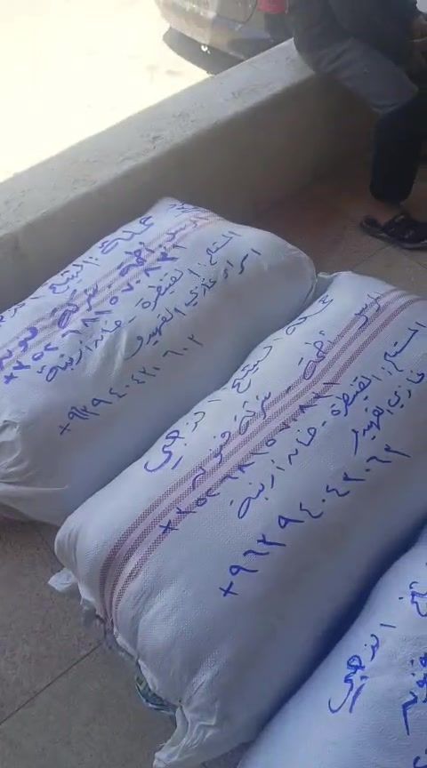 حملة الذهبي للحجاب الشرعي في القنيطرة