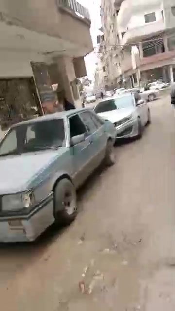صورة 3