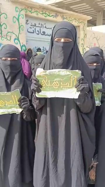 صورة 2