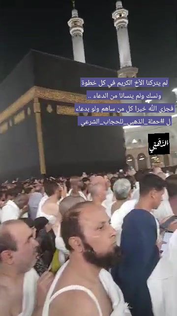 صورة 4