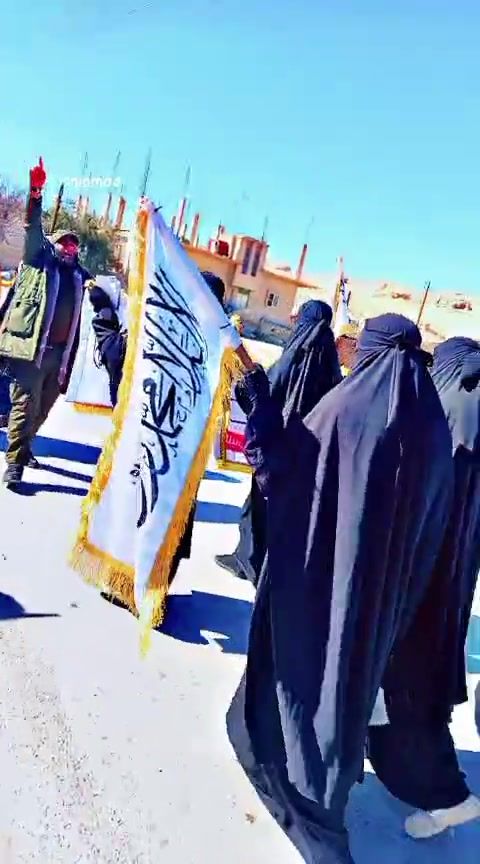 صورة 11