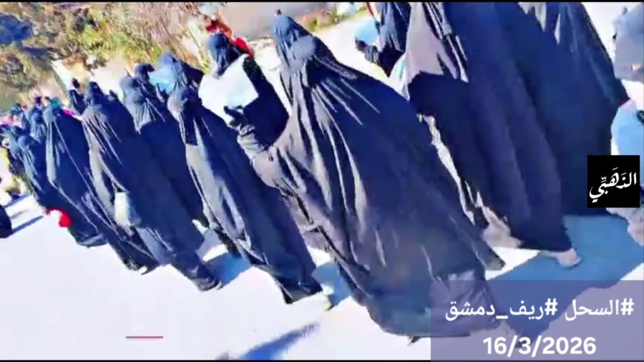 صورة 13