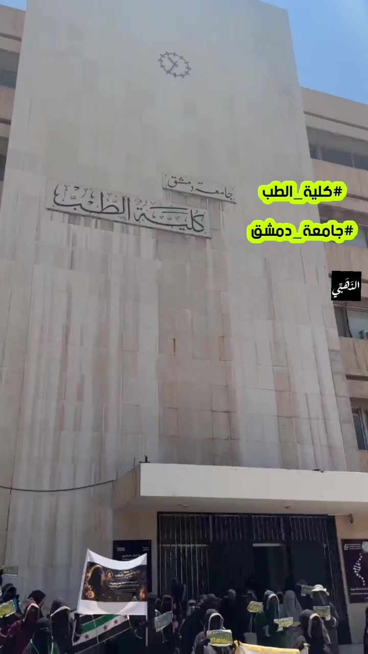 صورة 19