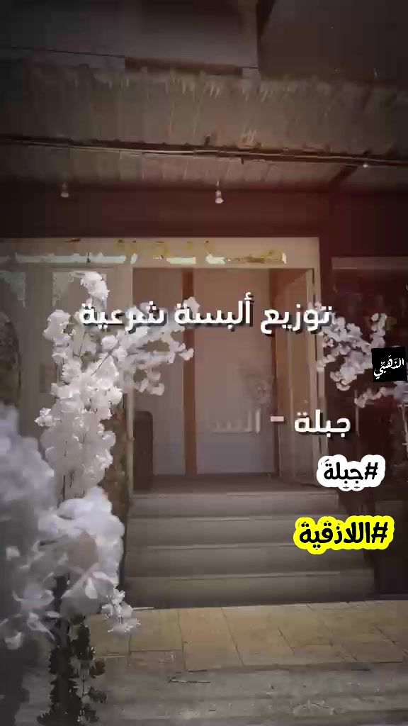 صورة 3