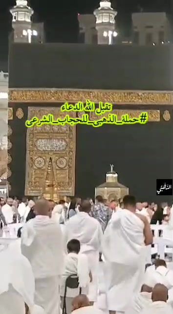 صورة 2