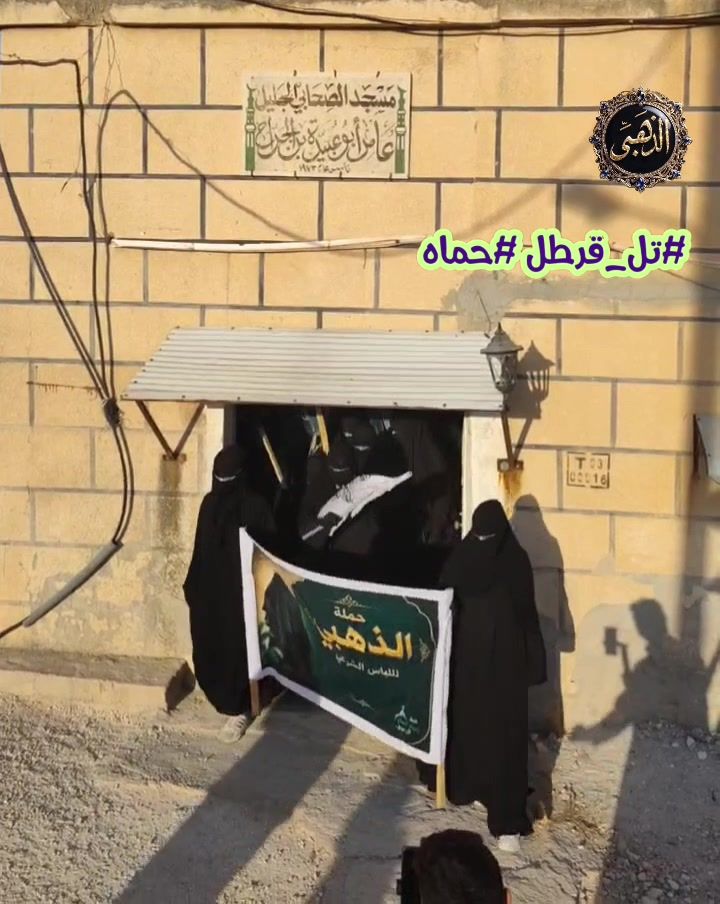 صورة 3